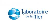labmer